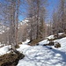 Ab knapp 2200m Höhe liegt Schnee.