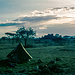 Allein in der Serengeti