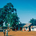 Mugumu, Hauptstadt des Serengeti Districtes