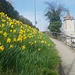 Kurz vor dem Bahnhof in Schaffhausen