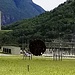 Alptransit NEAT Bodio 