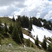 Vom Bänkli auf dem Nebengipfel freier Blick zurück zum Gulme