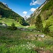 In Wasserauen dominiert der Frühling