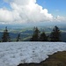 Schau ins hügelige Allgäuer Alpenvorland