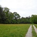 Unterwegs auf dem Limeswanderweg von Mainhardt zur Hankertsmühle
