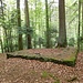 Limesturm am "Hofbergle" (Wachposten 9/75).<br />Der Turm steht auf einer kleinen Terrasse oberhalb des Wanderwegs.
