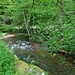 Das Flüßchen Rot, ein Nebenfluss des Kocher im Bereich der Hankertsmühle