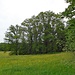 Unterwegs auf dem Limeswanderweg von Mainhardt zur Hankertsmühle