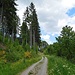 Zwischen Rottal und Ammertsweiler