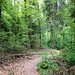 Unterwegs auf dem Limeswanderweg von Mainhardt zur Hankertsmühle