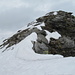Das letzte Stück zum Gipfel des Pizzo Cramalina mit teilweise hüfttiefem Nass-Schnee