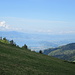Blick nach Westen zum Obersee und im HG der Zürichsee