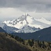 Monte Care Alto (3463 m, Adamellogruppe) im Focus