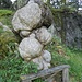Ein seltsam verkrüppelter Baumstumpf neben dem "Steintor"