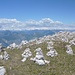 "Stoanerne Mandeln" am Monte Baldo, mit herrlichem Panorama