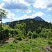 Nun geht es wieder weiter: erst in eine Senke hinab und dann auf den Steinriegel West (972 m)