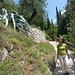 ..neue Wanderwege vom Castel hinab nach Arco.