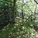 Auf dem Wanderweg hab ich den Sattel südlich von Fueterstig erreicht und bin nun auf dem Grat.