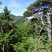 Blick nach Westen auf die andere Talseite.