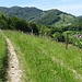 Auf Feldwegen.