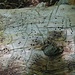 Bereits nach dem Bierchen in der Fuchsfarm: Sind das jetzt [http://scienceblogs.de/astrodicticum-simplex/2014/06/16/wurmloch-oder-schwarzes-loch-was-sitzt-im-zentrum-der-milchstrasse/ Wurmlöcher oder einfach schwarze Löcher]?