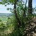 Nahe beim Aussichtspunkt auf dem Dielenberg.