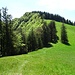 Der Schwarzenberg. Unten im Sattel Botäli zweigen wir auf den Weg in die Ostflanke ab