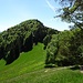 Das nächste Ziel: der Guntliberg