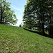 Auf dem Guntliberg, das Kreuz steht ein paar Meter tiefer