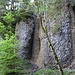 Wilde Wände in der Väsperrous