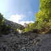 <b>Nella Valle del Capón, la “Valle del Farfaraccio” (Petasites hybridus), sembra di essere nelle Dolomiti: il canalone ha scaricato una grande quantità di pietre dolomitiche, staccatesi dalla Cima Mosè (1726 m).</b> 