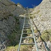 Die Gipfelleiter zum Steineberg (kann umgangen werden)