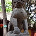 Einer der beiden Steinlöwen im Eingangsbereich des Shaolin-Tempels. Diese Figuren gehören zu den ältesten Teilen des Tempels.