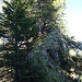 Der kurze, ausgesetzte Pfad zur Gipfelrinnne am Gigglstein