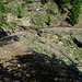 il nuovo sentiero che dall'Alpe Stavascio porta a Rienza