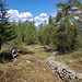 Inizio del vecchio sentiero