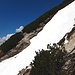  Ich querte ein mäßig steiles Schneefeld, nahm die Stufen, und wanderte durch die nächsten Latschengassen weiter.