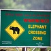 Wie gesehen: es gibt tatsächlich Elefanten.