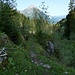 eine gesicherte Stelle am Richebach - mit Niesen im Hintergrund