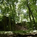 Die Ruine Hohenfels steht auf einem ca. 20 Meter hohen Felsen auf 545 Metern, hoch über dem Langental.