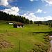 Idyllisch gelegene Luitpolderalm am Wilfetsbach