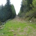 Sentiero - Sterrata per l' Alpe e gli impianti di risalita