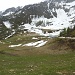 Lasciamo l' Alpe di Ravina e risaliamo seguendo i piloni della seggiovia