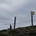 1. von 10 Gipfel, welche wir heute erwandern werden: Sewenegg, Pt. 1834 in Griffnähe