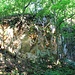 Sandsteinbruch