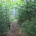 Wanderpfad