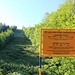 Leitungstrasse chemischer Zwischenprodukte