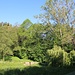 Trockenliegender Teich