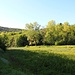 Trockenliegender Teich