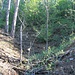 Bergbauversuch 2